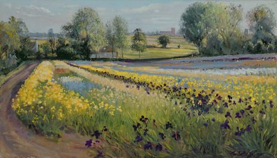 Iris Slope, 1991 by Timothy Easton